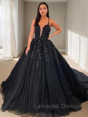 Ball Gown V-neck Court Train Tulle Prom Dresses With Appliques Lace