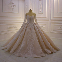 Gorgeous Long Sleeve Off the Shoulder Appliques Lace Ball Gown Wedding Dress