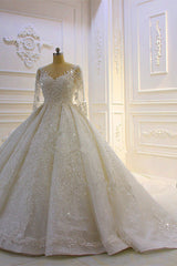 Sparkle 3D Lace Appliques Long Sleevess Church Train Wedding Dress